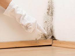 Best Emergency Mold Remediation  in Port St John, FL